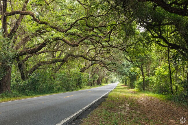 Canopy roads make Centerville one of the most beautiful communities in North Florida.