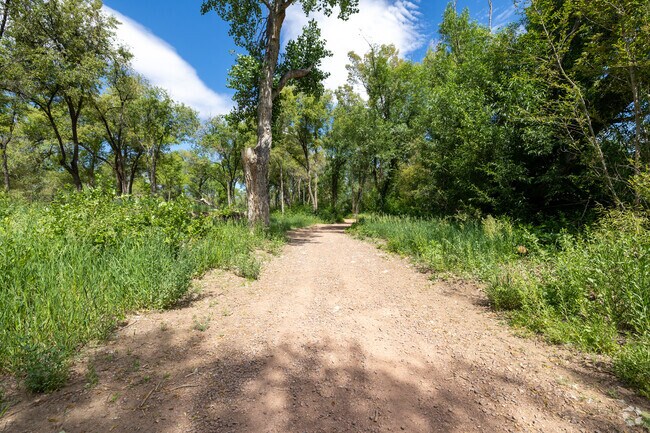 Enjoy hiking down the wide paths at 
at Stratmoor Valley Trailhead.