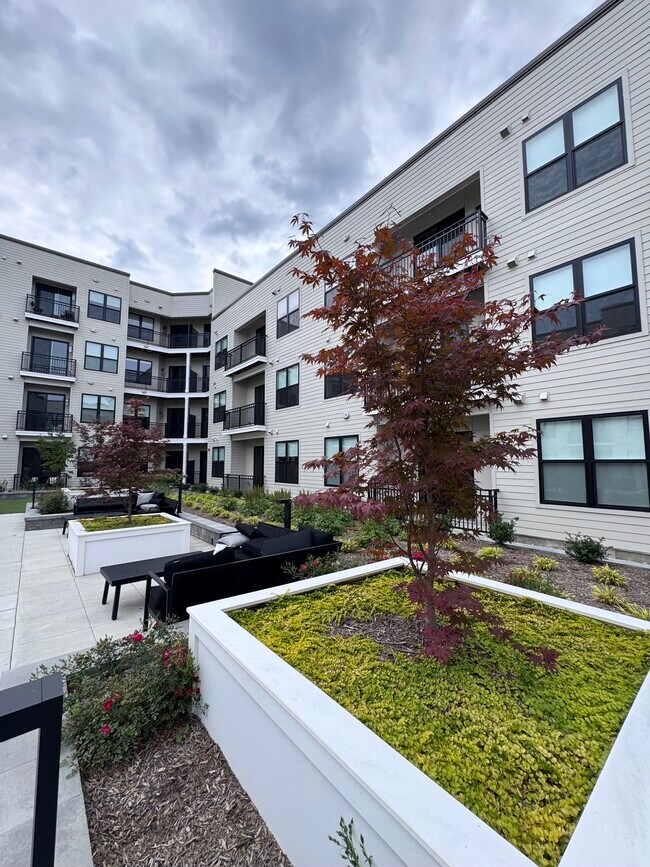 Clarus Berkeley Heights, Berkeley Heights, NJ 07922 - photo 7