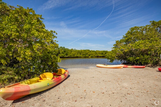 Mangrove trails throughout the park make for an unparalleled experience.