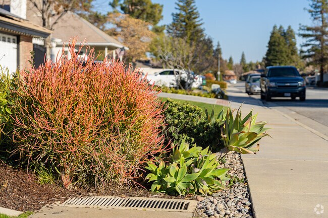 Beautiful succulents are popular landscaping plants at many of the Fruitvale homes.