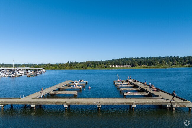 Lay in the sun at Log Boom Park in Kenmore Terrace.