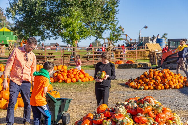 The Butler's Orchard 44th Annual Pumpkin Festival is a blast for all ages.