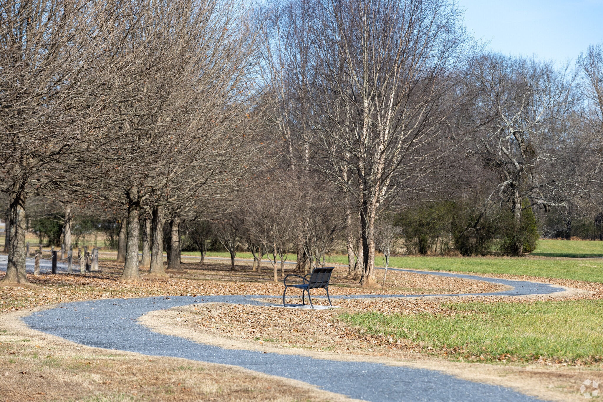 North High School, Suwanee GA Rankings & Reviews