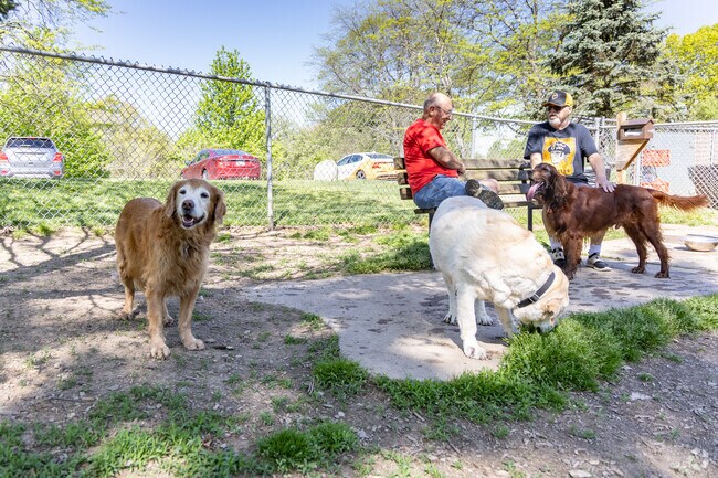 Dogs and their owners socialize at the Dog Park at White Oak Park.
