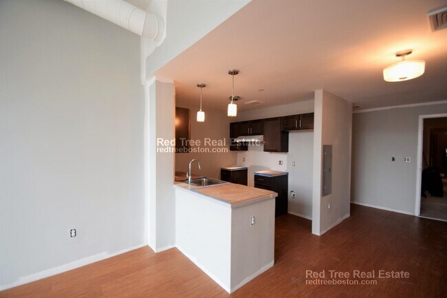 9 Williams St unit 310, Boston, MA 02119 - photo 5