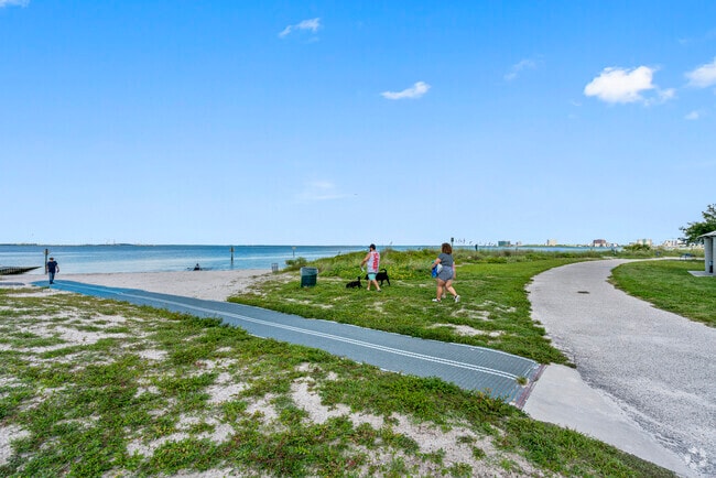 Cypress Point Park is a hidden gem in Westshore.