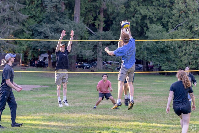 Meet some friends for a game of volleyball at Cornwall Park near King Mountain.