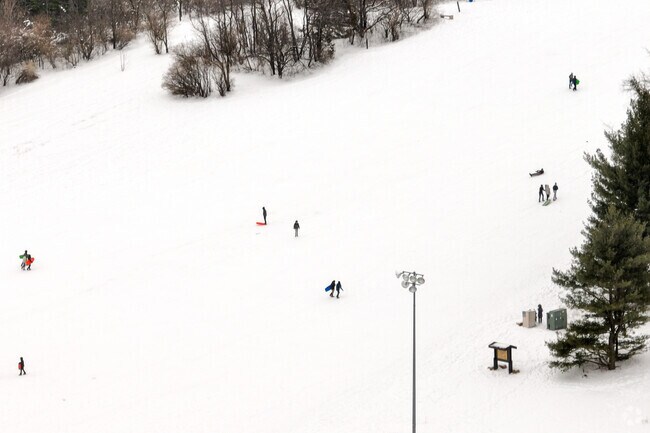 Sledding is a popular past time at West Madison's Elver Park.