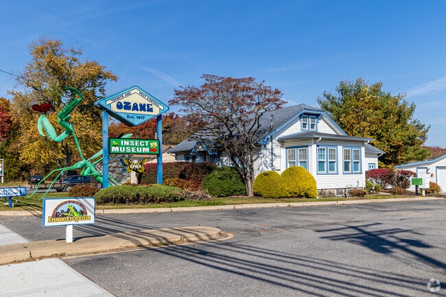 Insectropolis is a great place to learn about insects of all types in Toms River.