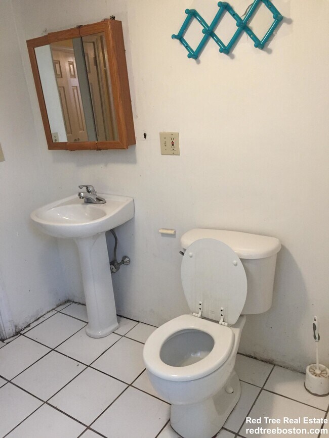 6 Sewall St unit 1, Roxbury Crossing, MA 02120 - photo 5