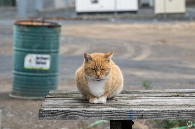 Residents and pets alike enjoy the quiet atmosphere of Warden.