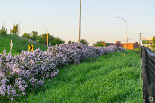 Lilac park has a row of planted Lilac bushes paying homage to its historic roots.