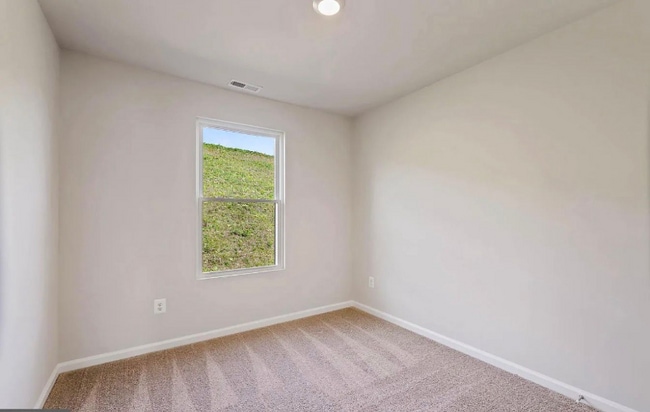 86 Dumsford St, Falling Waters, WV 25419 - photo 4