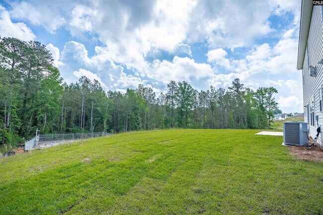 216 Caballeros Trail, Prosperity, SC 29127 - photo 5