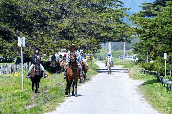 Horseback riders head to the beach in Half Moon Bay for a picturesque seaside walk.