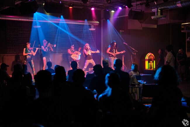 Hub City Vinyl hosts live music performances in it's vinyl retail location.