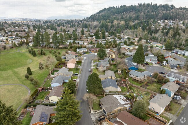 Beautiful Pine Trees line the streets of the Hollybrook neighborhood.