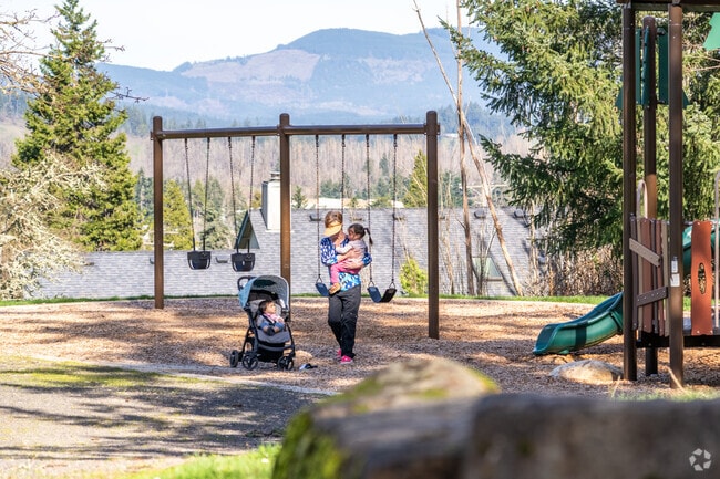 Thurston’s Jesse Main Memorial Park blends family fun with stunning mountain scenery.