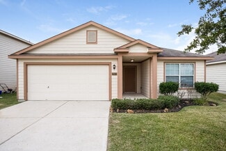 29023 Trinity River Dr, Spring, TX 77386
