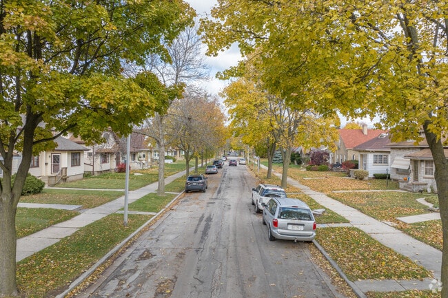 Many shady trees line the one way streets in St Joseph's.