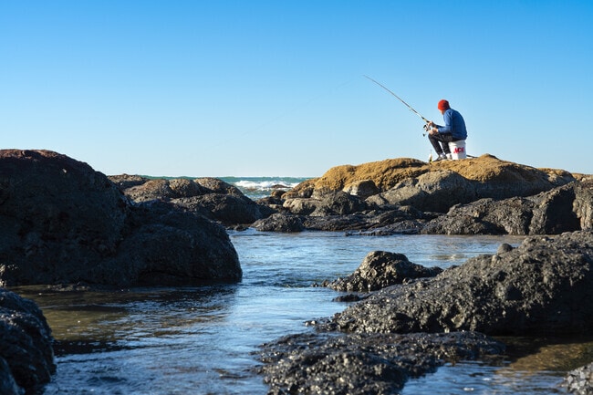 Beachgoers enjoy clamming, crabbing, and beachcombing on the shores of Lincoln City.