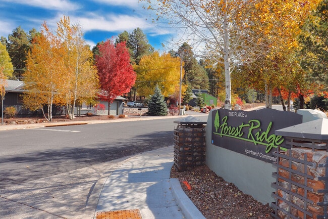 The Place At Forest Ridge, Flagstaff, AZ 86001 - photo 2