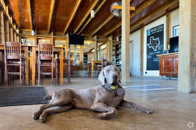 Headwaters residents love the welcoming atmosphere at Solaro Estate.