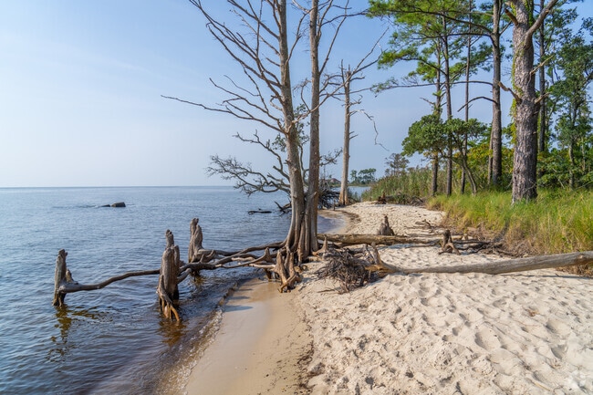 Beautiful wooded beaches can be found near Manns Harbor.