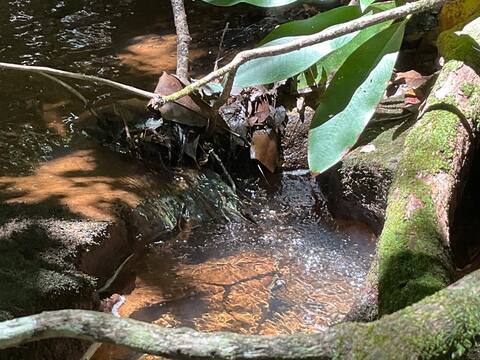 1359 Camp Creek Rd unit Suite TWO, Lakemont, GA 30552 - photo 4