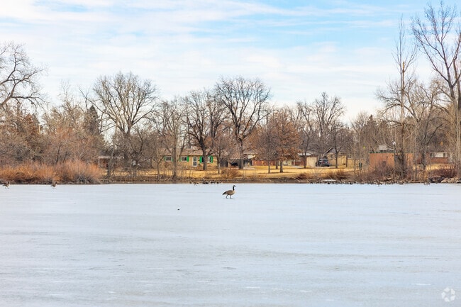Wildlife can be spotted on the lake at Harvey Park.
