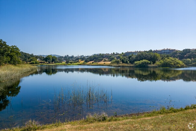Nagasawa Park conceals a beautiful lake up in the hills of Fountaingrove.