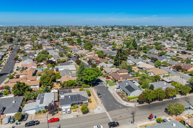 Urban living in Whitman-Wocine includes diverse housing, local amenities, and a vibrant communit