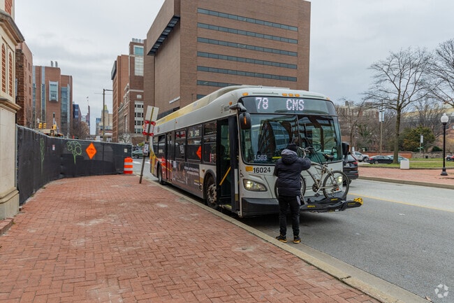 Take a CityLink bus to get to any of the major parts of the city.