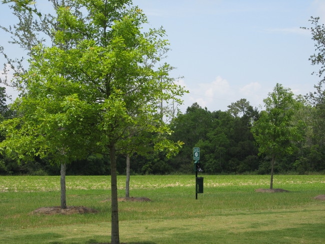 Shellbrooke Pointe Apartments, Fairhope, AL 36532 - photo 5