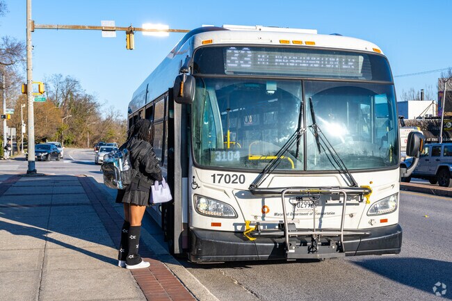The bus is a great way to get around Lake Evesham.