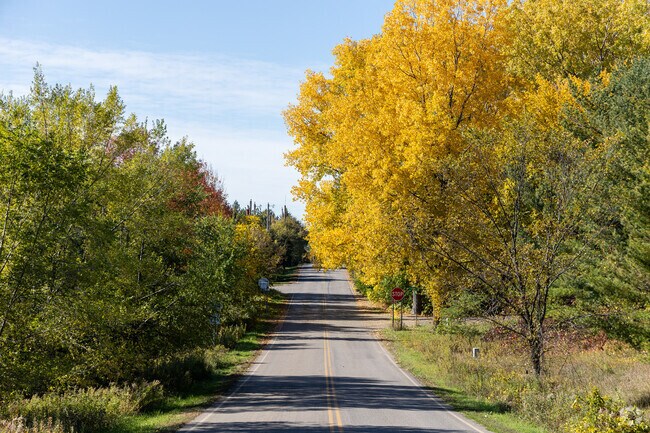 The main road traversing Sunfish Lake is lush with nature.