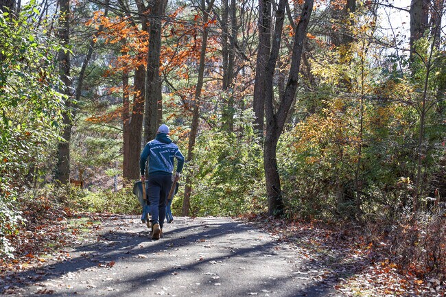 A man gathers fall foliage in his wheelbarrow, on a trail in Sippo Lake Park.