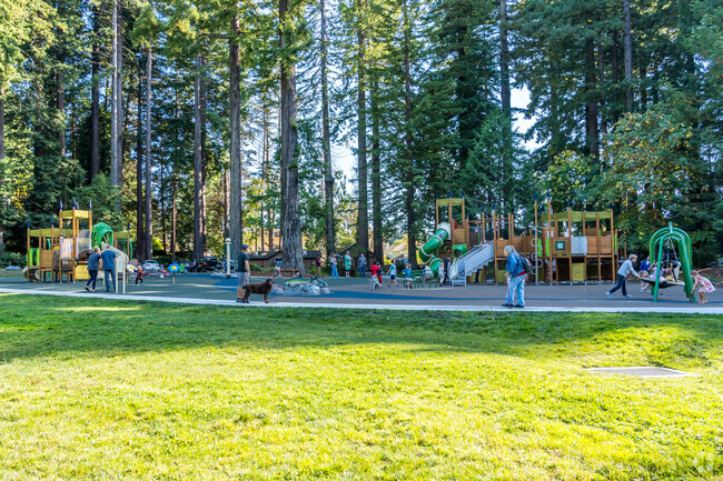 Redwood Park has one of the newest playground in Arcata.