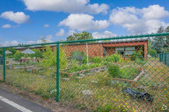 Students at Mooberry Elementary School in Hillsboro grow a variety of plants.