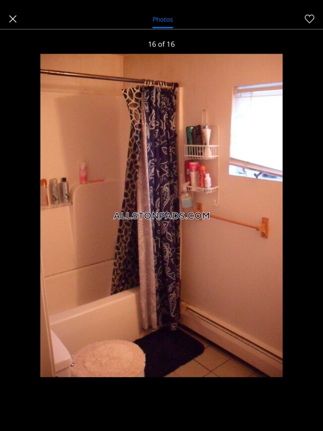 16 Alcott St unit 2, Boston, MA 02134 - photo 6