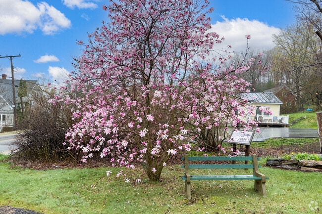 Pocket parks in Bowdoinham provide restful spots to get some fresh air.