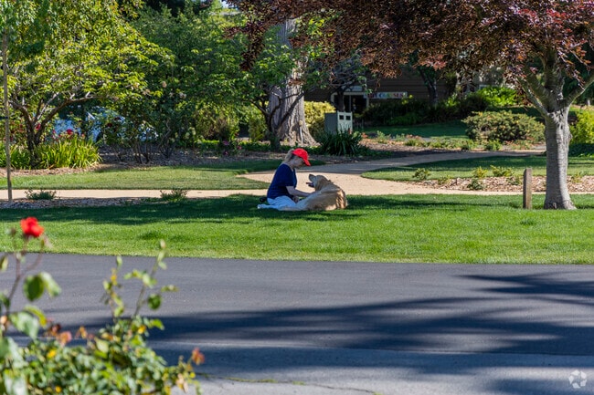 North Fair Oaks is a very dog-friendly neighborhood.