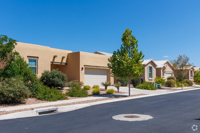 Rancho Viejo homes are typically one of 2 styles in the neighborhood.