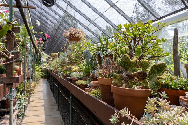 There are lots of interesting plants to check out at Fuller Gardens in North Hampton.