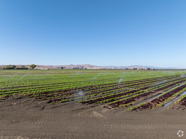 Hollister's economy thrives on agriculture-focused jobs and farming expertise.