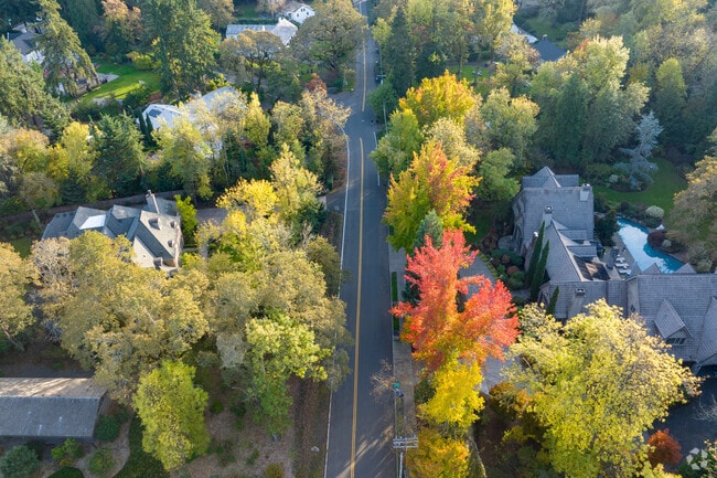 Mature trees create a park-like feel for the streets of Dunthorpe.