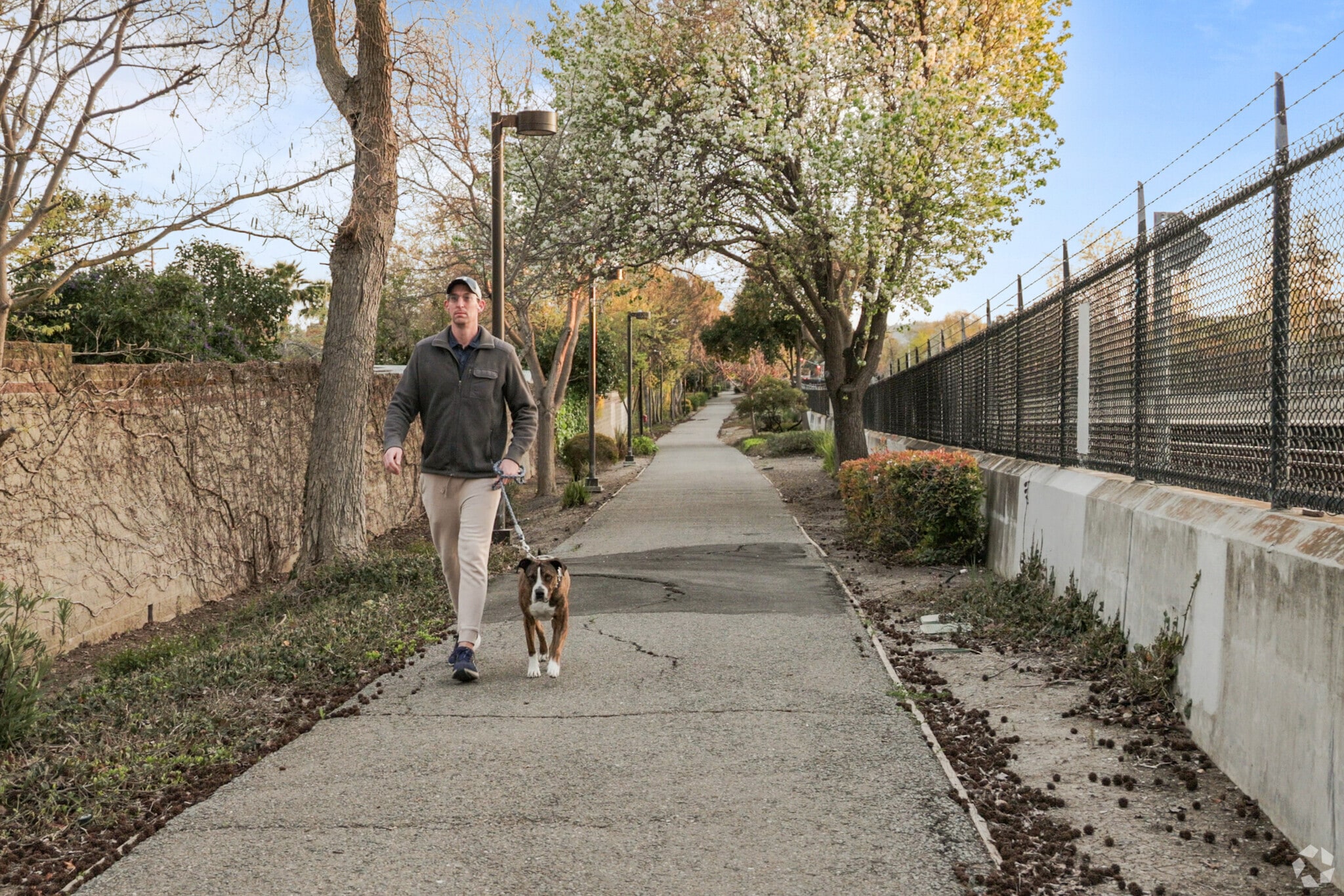 A peaceful walk with a dog along the Linear Park and Greenway trail in Sun Terrace.