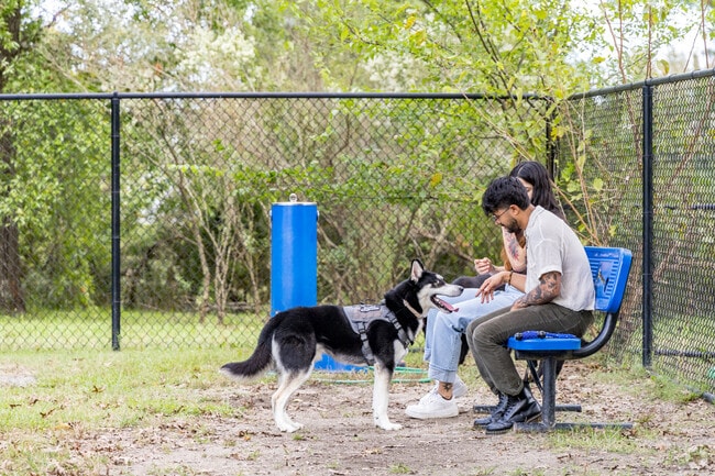 Ridgeway Park has water available for dogs and their owners in nearby Fox Hill.