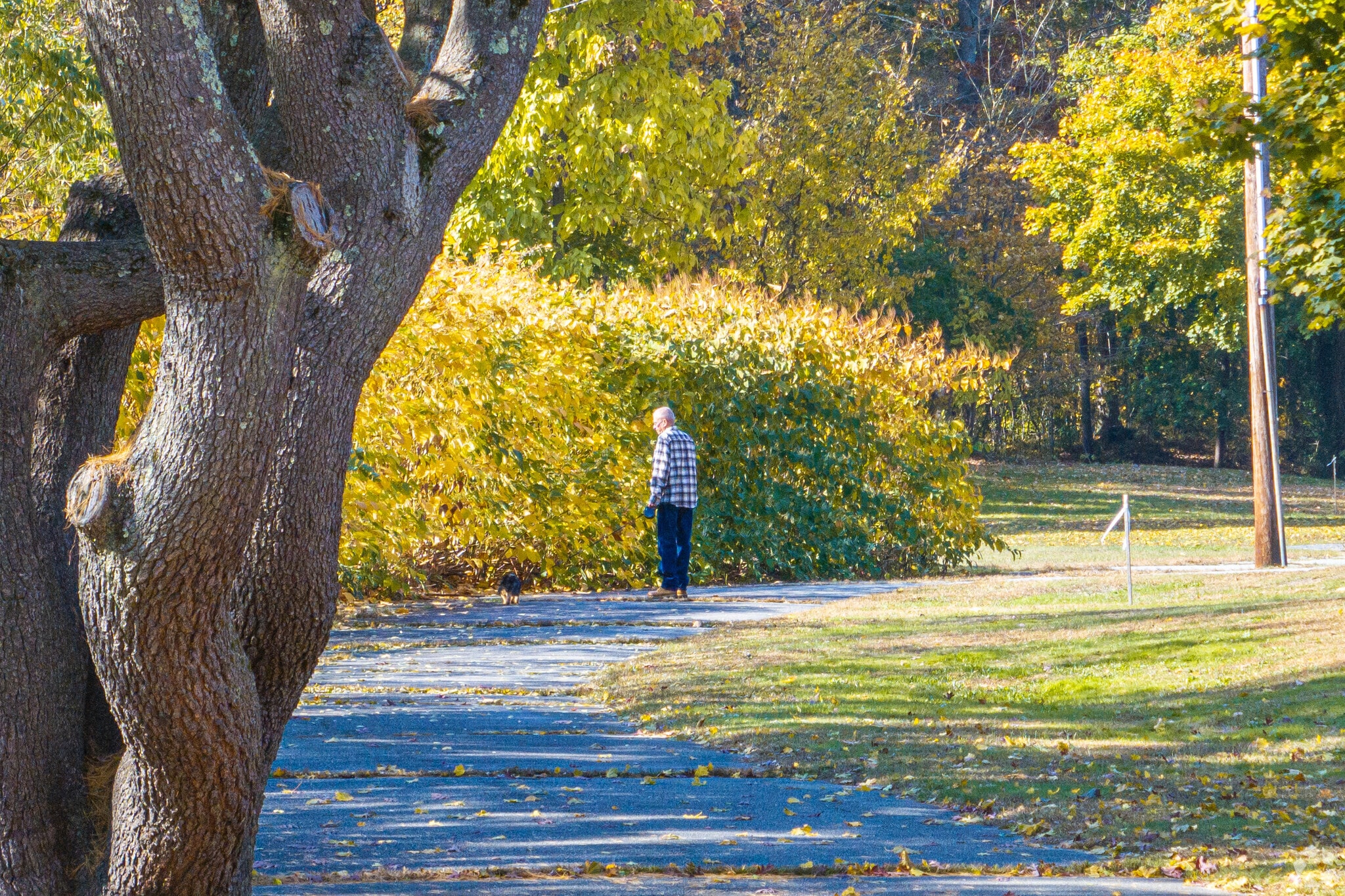 Memorial Park in Somerset invites you to enjoy an afternoon out in the sunshine.